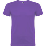 25833 iris purpura