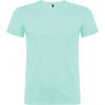 25833 verde menta